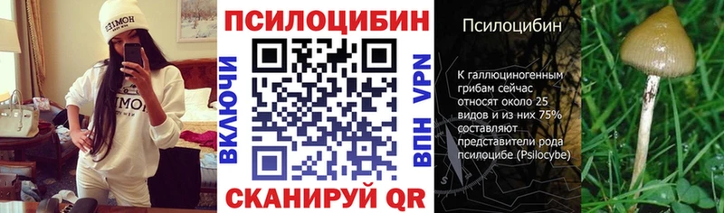 Псилоцибиновые грибы Cubensis  Нижний Новгород 